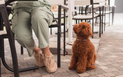 PRÓXIMAMENTE: Artículo científico sobre el contagio emocional