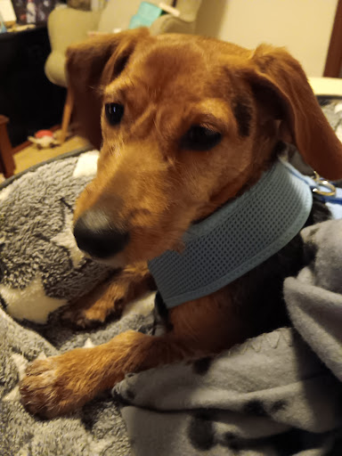 Photo from customer review