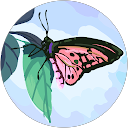 Nathy profile picture